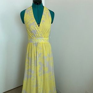 Express maxi chiffon flowery dress